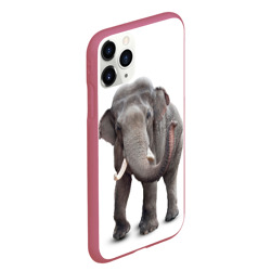 Чехол для iPhone 11 Pro Max матовый Слон vppdgryphon - фото 2