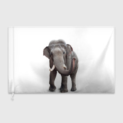 Флаг 3D Слон vppdgryphon