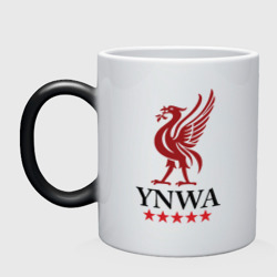 Кружка хамелеон YNWA