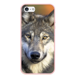 Чехол для iPhone 5/5S матовый Волк