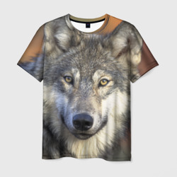 Мужская футболка 3D Волк