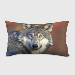 Волк – Подушка 3D антистресс с принтом купить