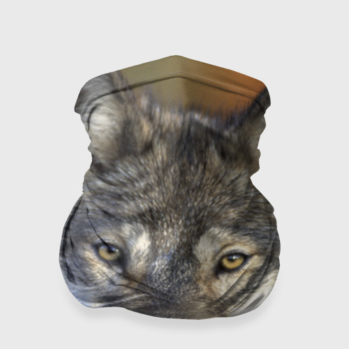 Бандана-труба 3D Волк, цвет 3D печать