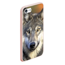 Чехол для iPhone 5/5S матовый Волк - фото 2