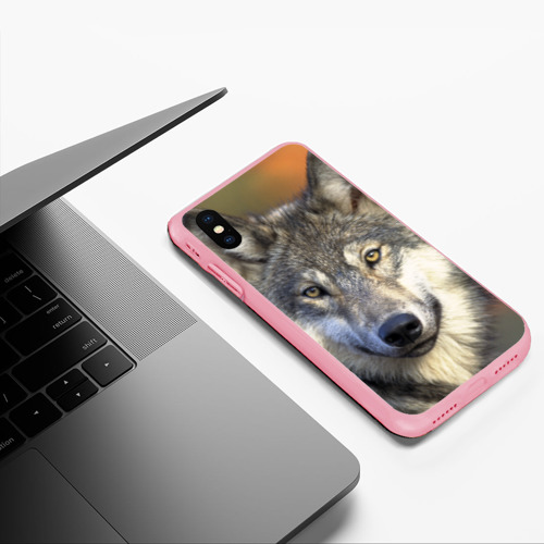 Чехол для iPhone XS Max матовый Волк, цвет баблгам - фото 5