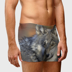 Мужские трусы 3D Волк - фото 2
