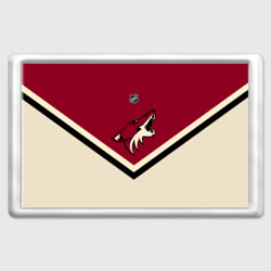 Магнит 45*70 Arizona Coyotes