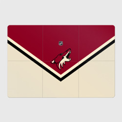 Магнитный плакат 3Х2 Arizona Coyotes