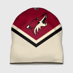 Шапка 3D Arizona Coyotes