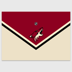 Поздравительная открытка Arizona Coyotes