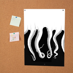 Постер Octopus - фото 2