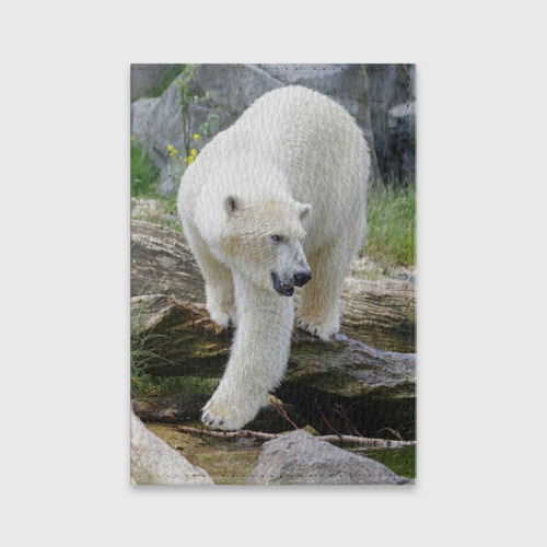 Обложка для паспорта матовая кожа Белый медведь, цвет черный