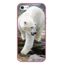 Чехол для iPhone 5/5S матовый Белый медведь