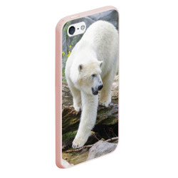 Чехол для iPhone 5/5S матовый Белый медведь - фото 2