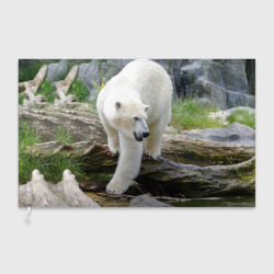 Флаг 3D Белый медведь