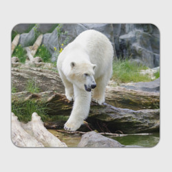 Прямоугольный коврик для мышки Белый медведь