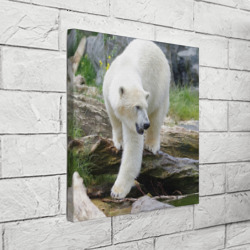 Холст квадратный Белый медведь - фото 2