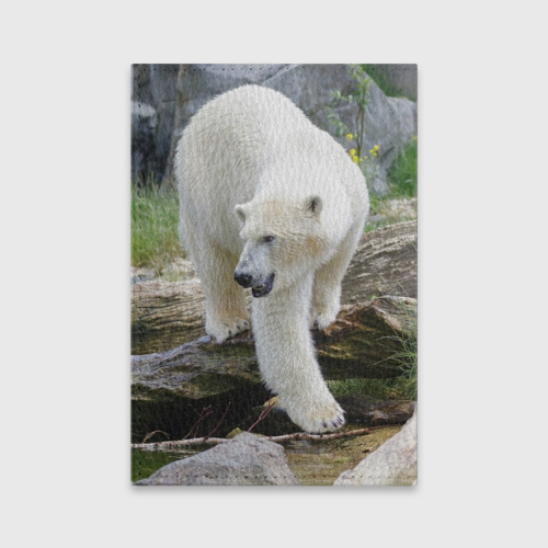 Обложка для паспорта матовая кожа Белый медведь - фото 2