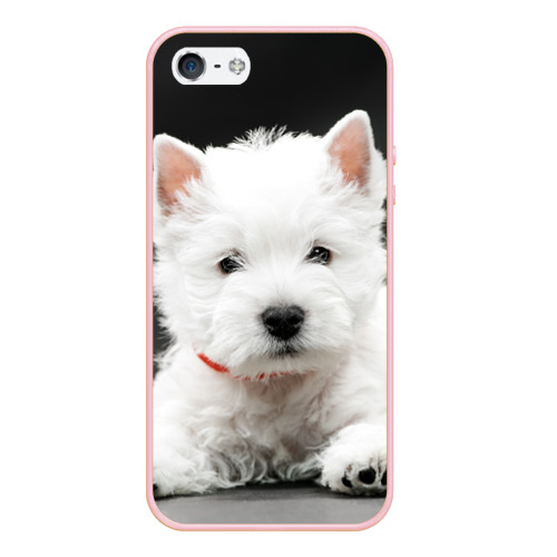 Чехол для iPhone 5/5S матовый Вест-хайленд-уайт-терьер щенок, цвет светло-розовый