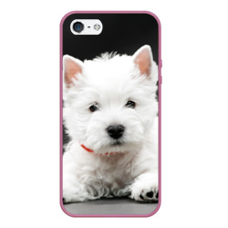 Чехол для iPhone 5/5S матовый Вест-хайленд-уайт-терьер щенок