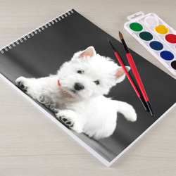Альбом для рисования Вест-хайленд-уайт-терьер щенок - фото 2
