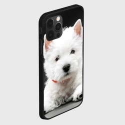 Чехол для iPhone 12 Pro Вест-хайленд-уайт-терьер щенок - фото 2