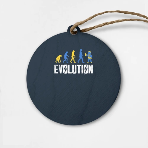 Деревянная игрушка круг Vault Evolution