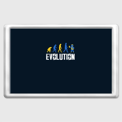Магнит 45*70 Vault Evolution