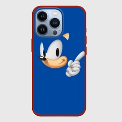 Чехол для iPhone 13 Pro Соник