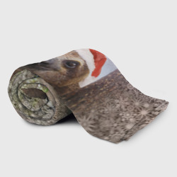 Плед с принтом Рождественский ленивец для любого человека, вид спереди №2. Цвет основы: 3d (велсофт)