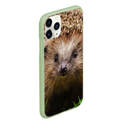 Чехол для iPhone 11 Pro Max матовый Ежик - фото 2