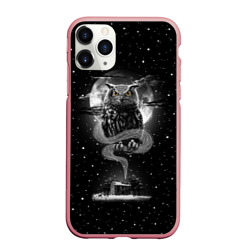 Чехол для iPhone 11 Pro Max матовый Ночная сова