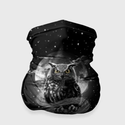 Бандана-труба 3D Ночная сова