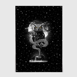 Постер Ночная сова