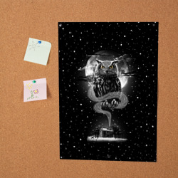 Постер Ночная сова - фото 2