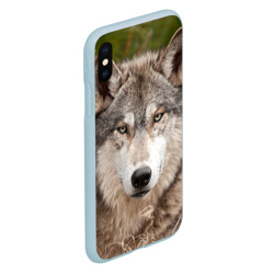 Чехол для iPhone XS Max матовый Волк таежный - фото 2