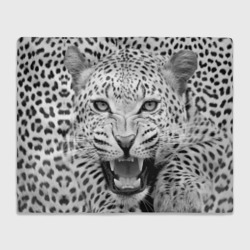 Плед 3D Леопард черно-белый портрет