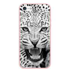 Чехол для iPhone 5/5S матовый Леопард черно-белый портрет