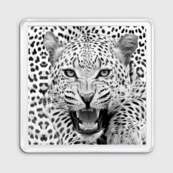 Магнит 55*55 Леопард черно-белый портрет