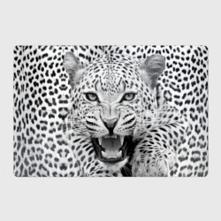 Магнитный плакат 3Х2 Леопард черно-белый портрет