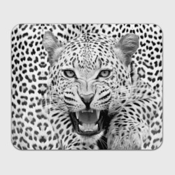 Прямоугольный коврик для мышки Леопард черно-белый портрет