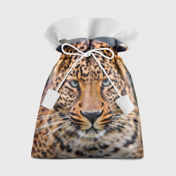 Подарочный 3D мешок Леопард суровый