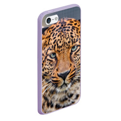 Чехол для iPhone 5/5S матовый Леопард суровый - фото 2
