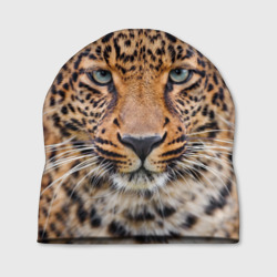 Шапка 3D Леопард