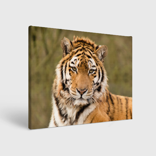 Холст прямоугольный Тигр, цвет 3D печать