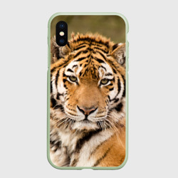 Чехол для iPhone XS Max матовый Тигр бывалый