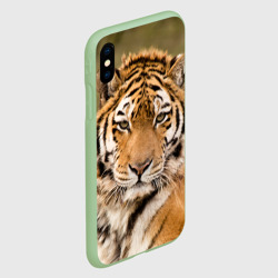 Чехол для iPhone XS Max матовый Тигр бывалый - фото 2