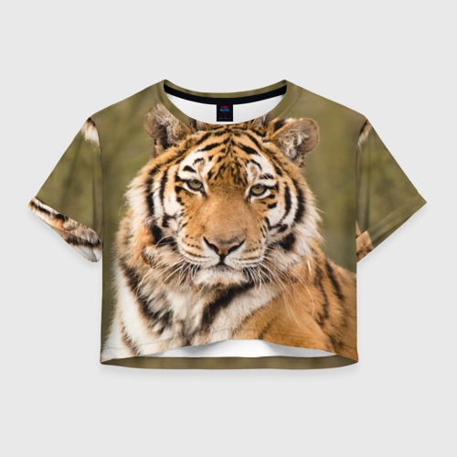 Грустный тигр. Наши клан. Женская футболка 3d тигр xxl. Top tigers. Оранжевый тигр.