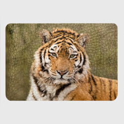 Картхолдер с принтом Тигр - фото 2