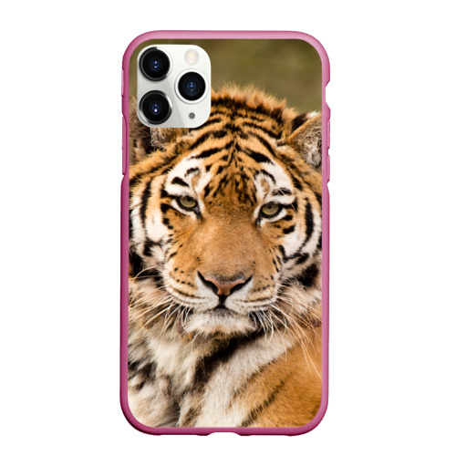 Чехол для iPhone 11 Pro Max матовый Тигр, цвет малиновый